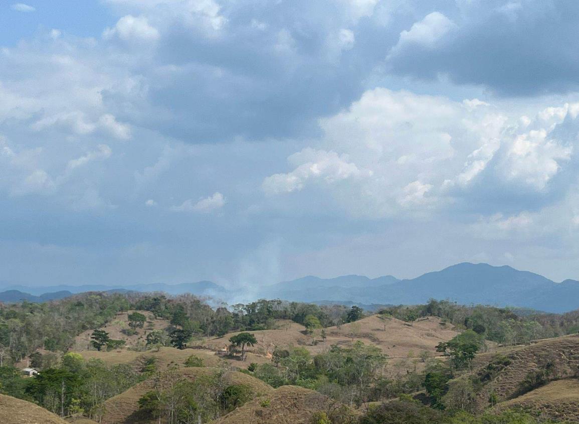 Bajo control 2 de 3 incendios forestales en Uxpanapa, asegura Protección Civil