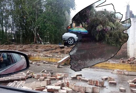 Reportan bardas, árboles y postes caídos por tormenta en Coatepec