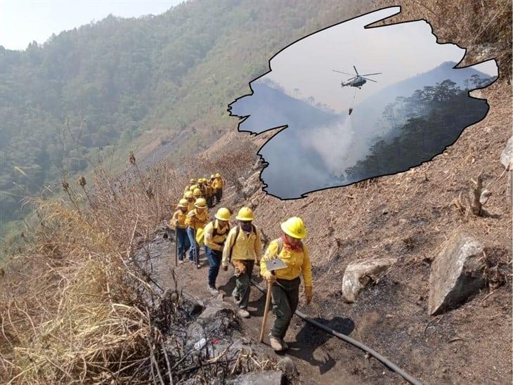 Cenizas de incendios forestales caen en ríos y arroyos de Coatepec y Xico