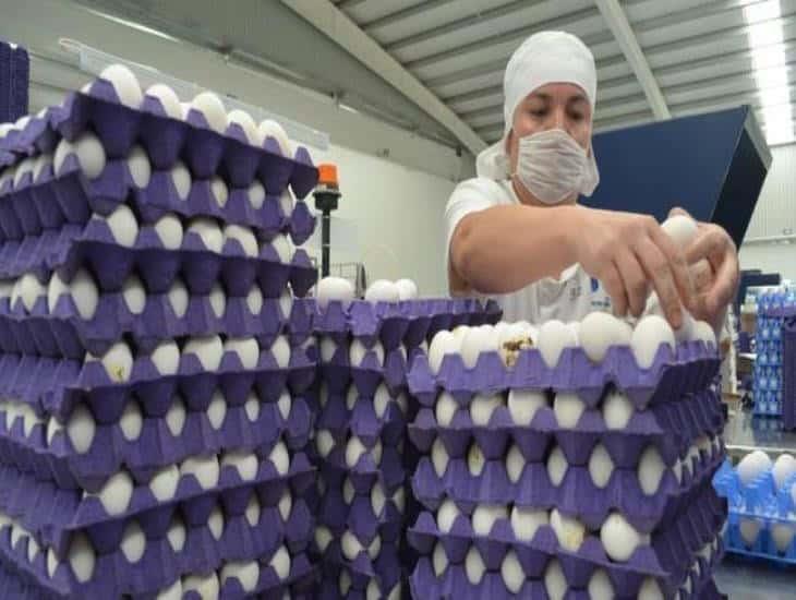 Mayores exportaciones en México traen beneficio a sector de alimentos