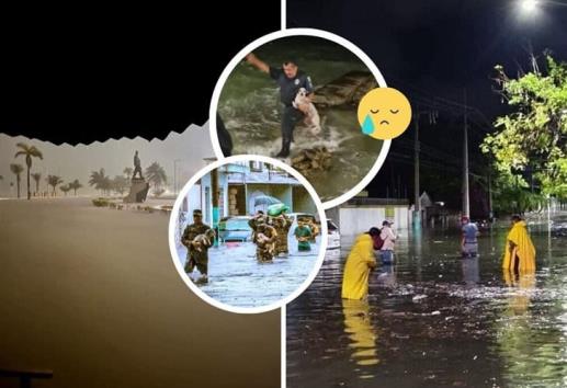 Se viraliza rescate de animales tras inundaciones en Chetumal  