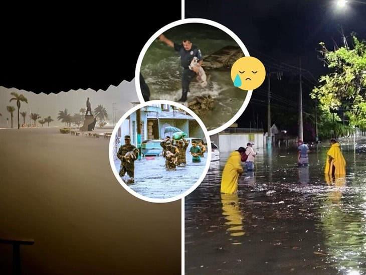 Se viraliza rescate de animales tras inundaciones en Chetumal  