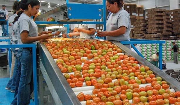Mayores exportaciones en México traen beneficio a sector de alimentos
