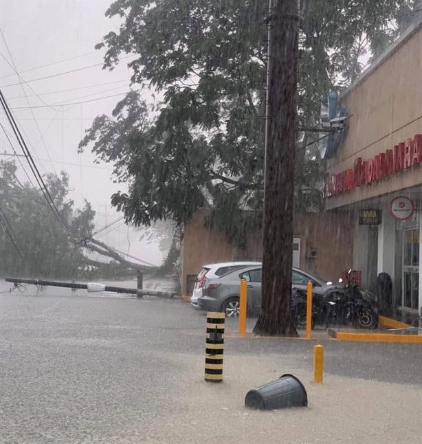 Reportan bardas, árboles y postes caídos por tormenta en Coatepec