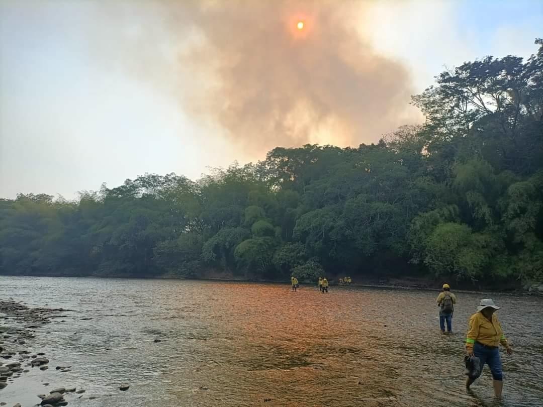 Fuego destruye la reserva boscosa "San Felipe"; suplican lluvias en el Uxpanapa