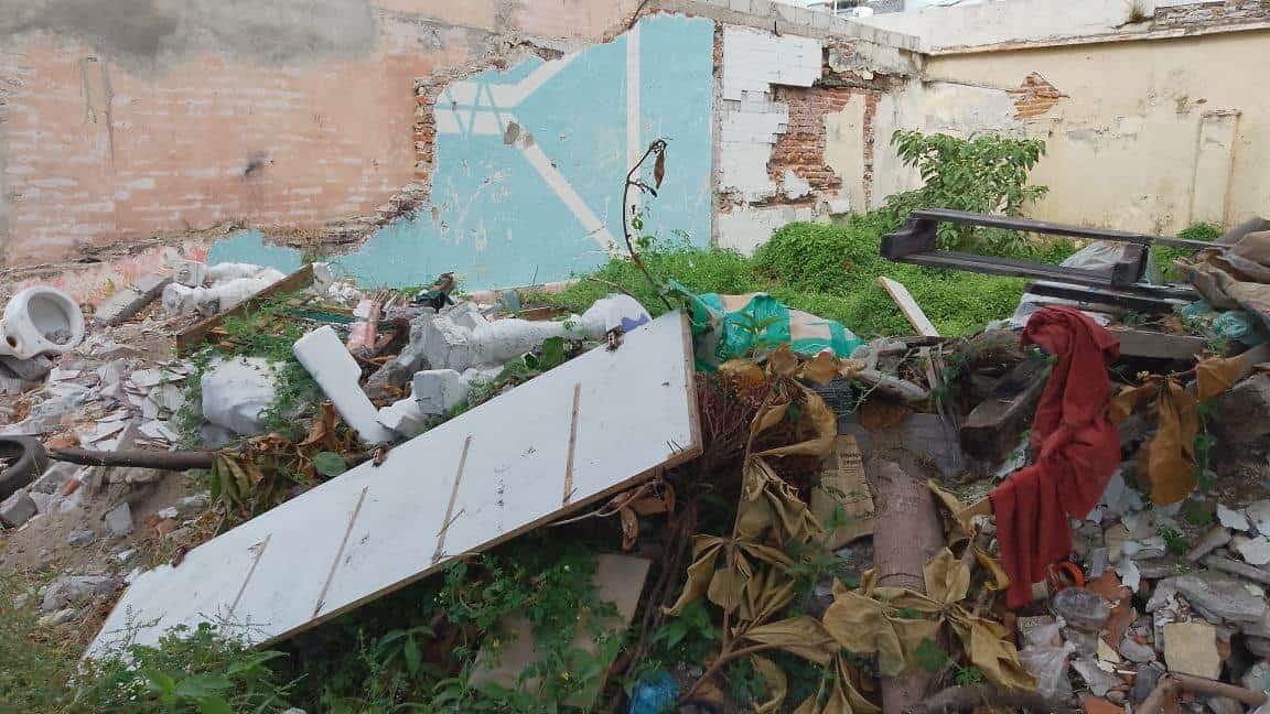 Lotes baldíos son un foco de infección en Veracruz, denuncian vecinos