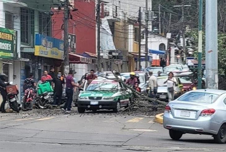 ¡Zas! Rama cae sobre taxi en avenida Pípila de Xalapa