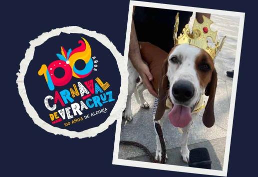 Yuri presume a Chaco, rey canino del Carnaval de Veracruz