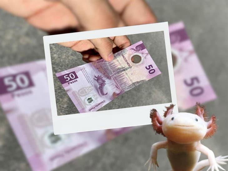 Colección de billetes del ajolote podría valer hasta 10 millones de pesos ¡checa!