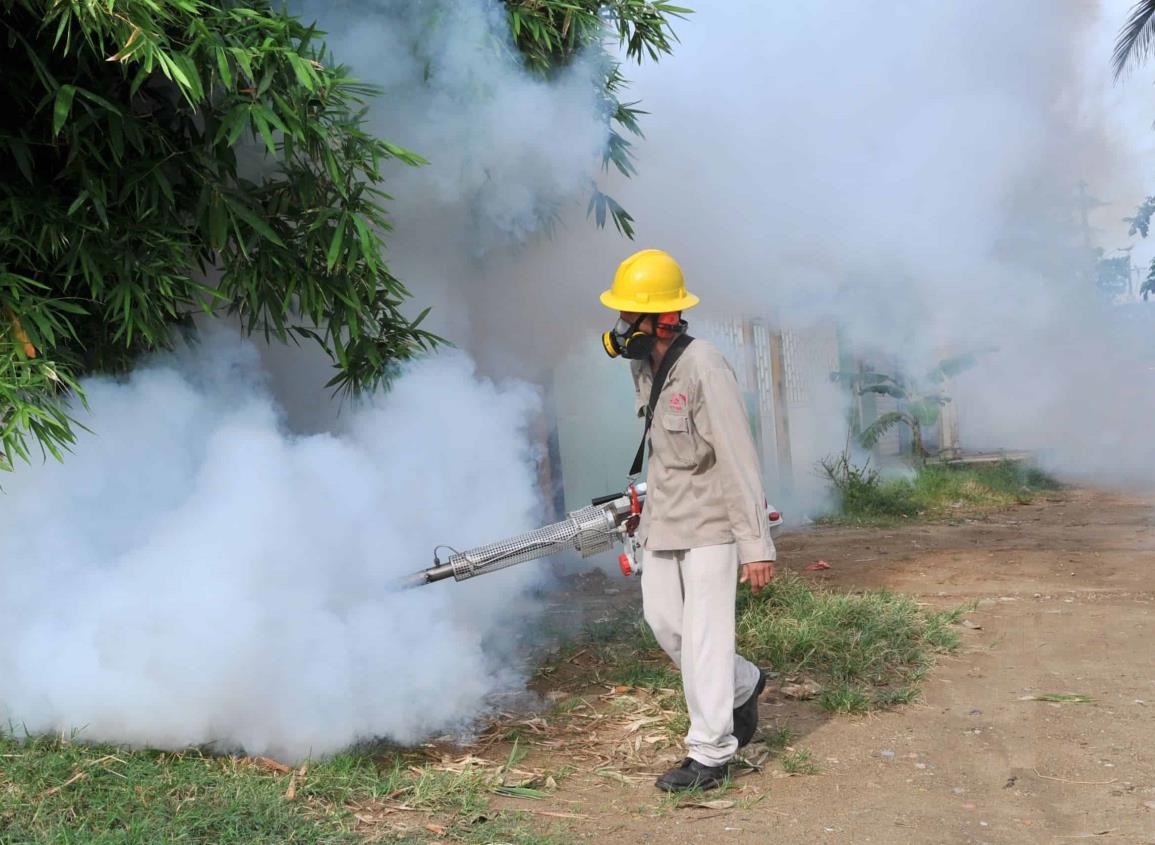 Ante lluvias, implementan acciones contra criaderos del dengue en Coatzacoalcos | VIDEO