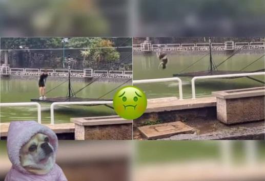 ¡Que extremo! joven se avienta clavados en los Lagos de Xalapa 