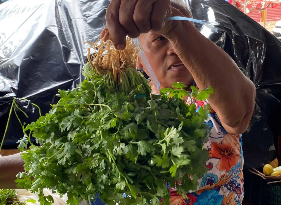 Por las nubes costo del mazo de cilantro en mercados de Minatitlán | VIDEO