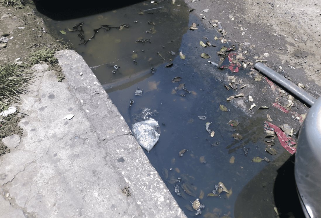 Vecinos de la colonia Centro en Veracruz denuncian río de aguas negras