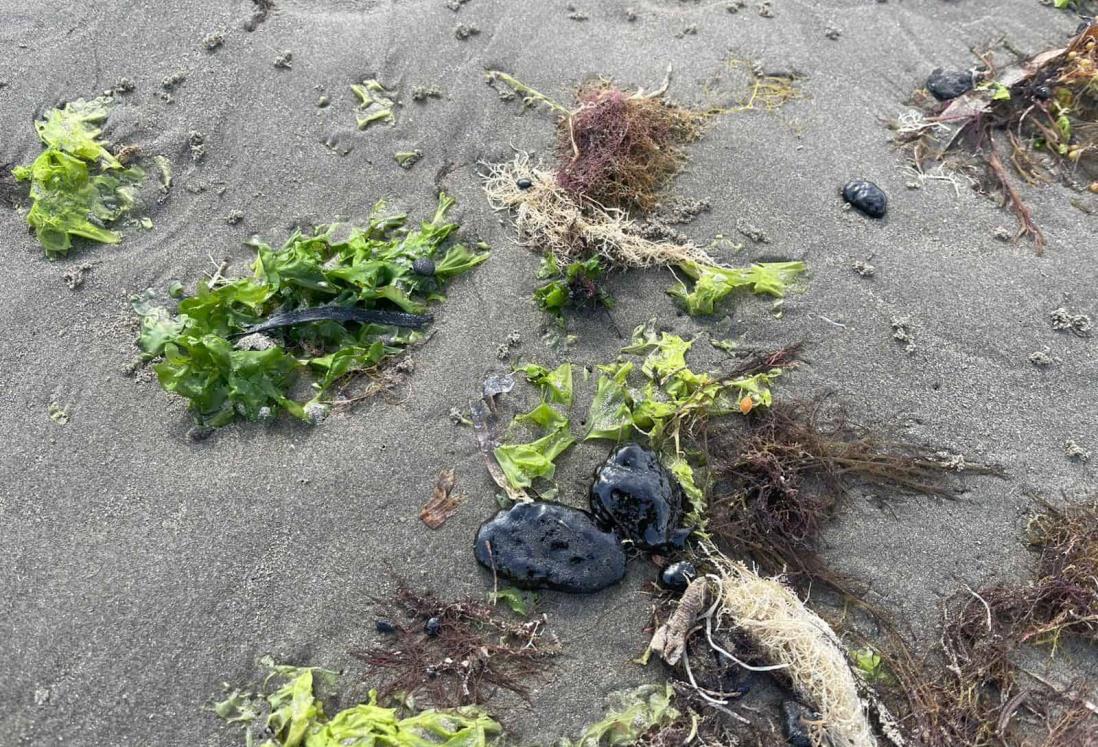 Conanp revela posible razón de hallazgo de chapopote en playas de Veracruz