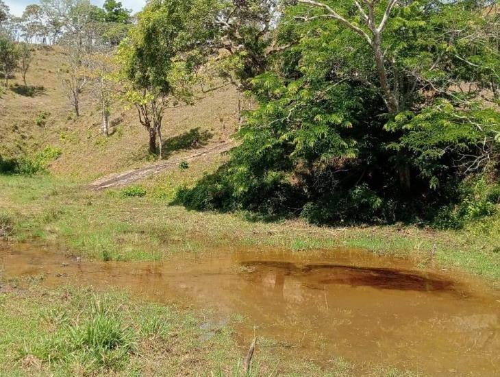 Lluvias extienden derrame de hidrocarburo en rancho de Minatitlán; Pemex ignora llamado