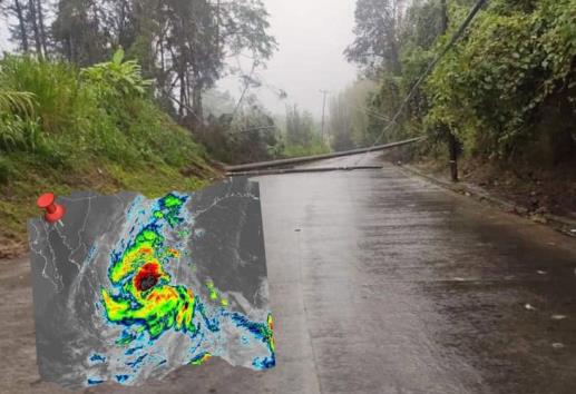 Lluvias, anegamientos y caídas de árboles; son los daños que deja la tormenta tropical Alberto en Veracruz