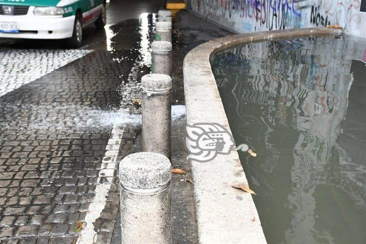 Llovió en Xalapa y hasta se regó agua de manantial