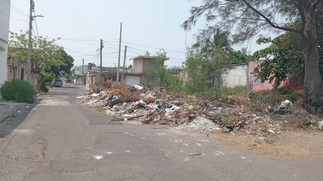 Se quejan de basurero clandestino en la colonia Formando Hogar, en Veracruz