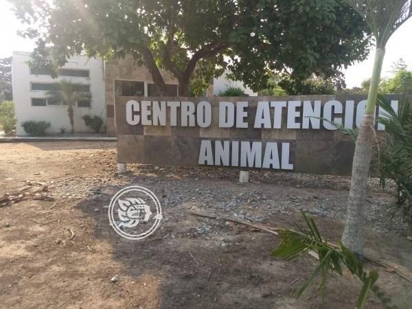 Esta es la historia del Centro de Atención Animal en Minatitlán