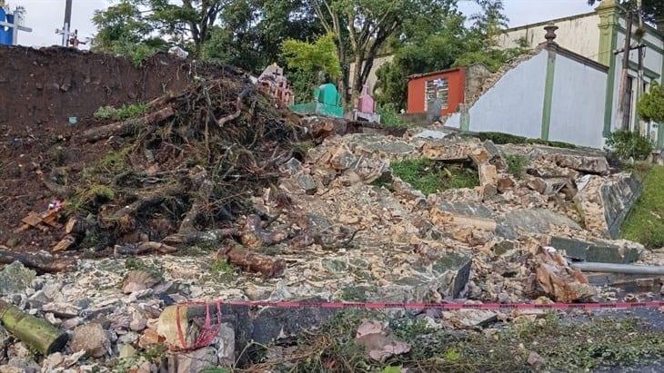 Caída de árbol, apagones y derrumbe de barda en Palo Verde; daños por lluvias en Xalapa  