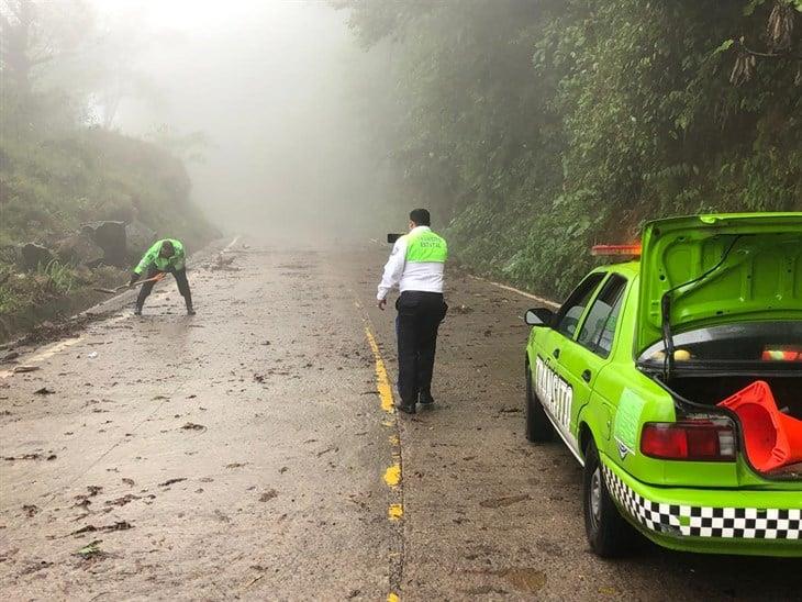 Tras deslaves, realizan limpieza en la carretera Misantla-Xalapa