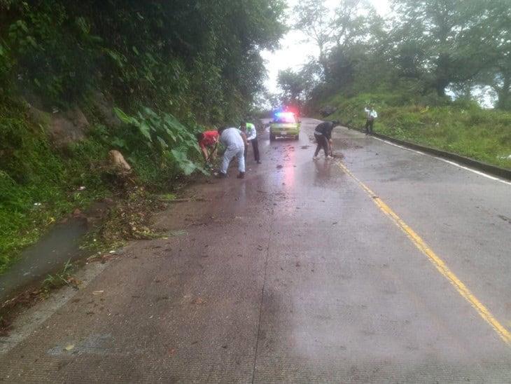 Tras deslaves, realizan limpieza en la carretera Misantla-Xalapa