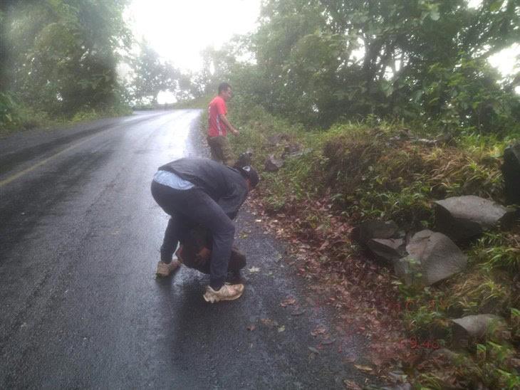 Tras deslaves, realizan limpieza en la carretera Misantla-Xalapa