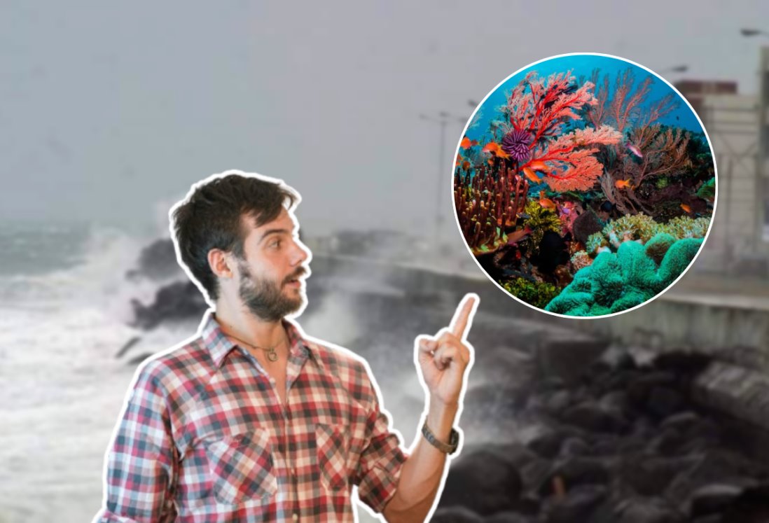 ¿Cómo los arrecifes de coral nos protegen de los huracanes?