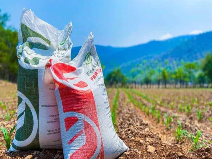 Más de 172 mil productores de Veracruz recibirán fertilizante gratis