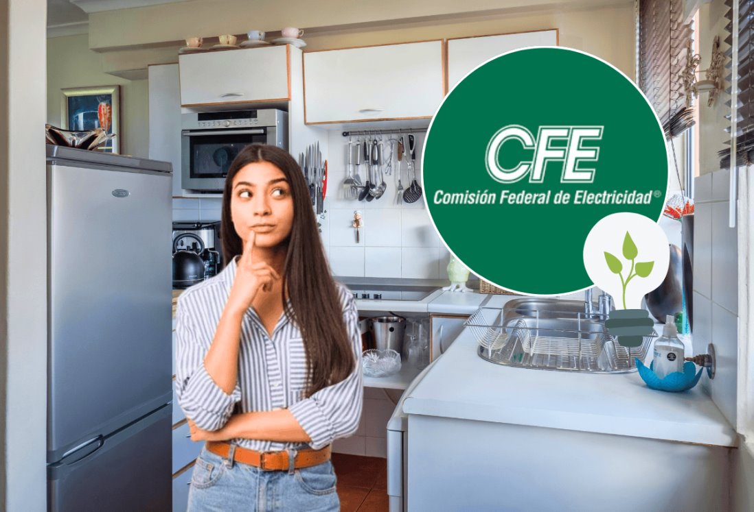 Descubre cuáles son los electrodomésticos que más energía consumen según la CFE