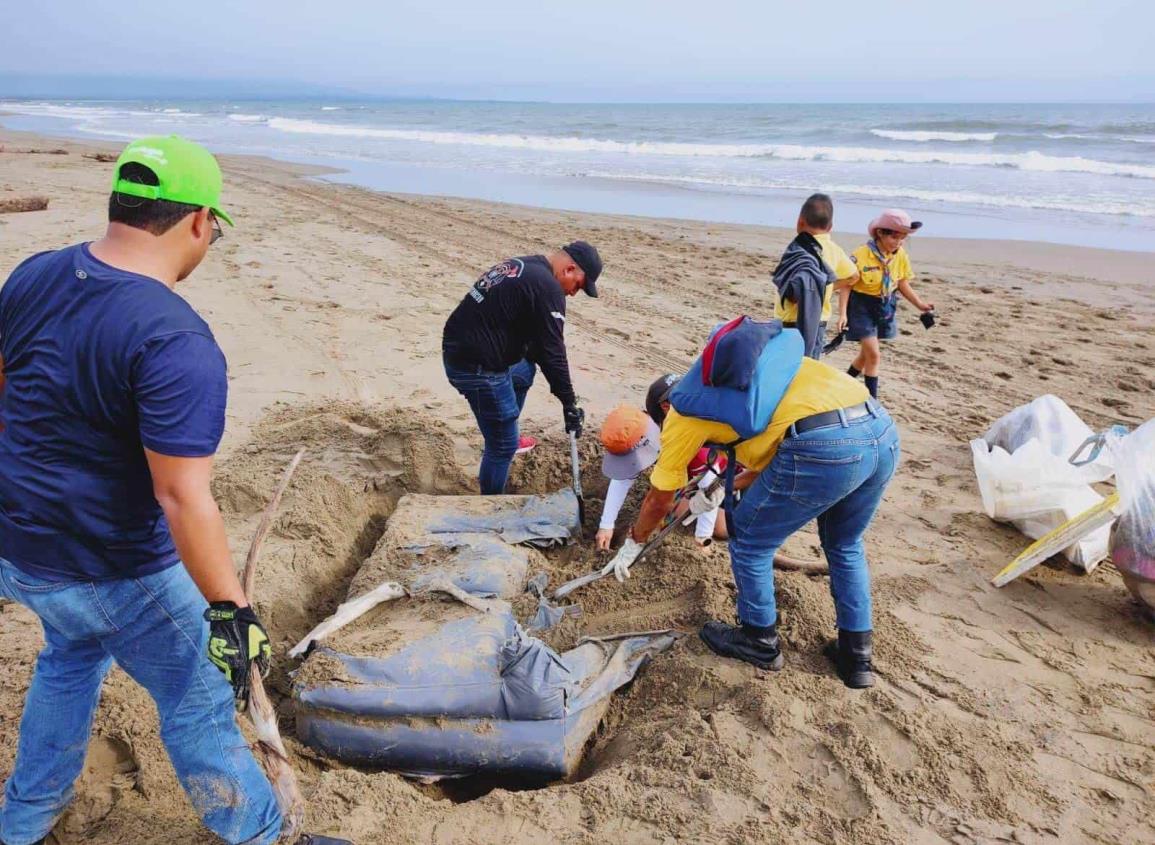 Organizaciones se vuelven a unir para limpiar las playas de Coatzacoalcos | VIDEO