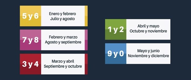 Verificación vehicular 2024: este es el calendario para el segundo semestre en Veracruz
