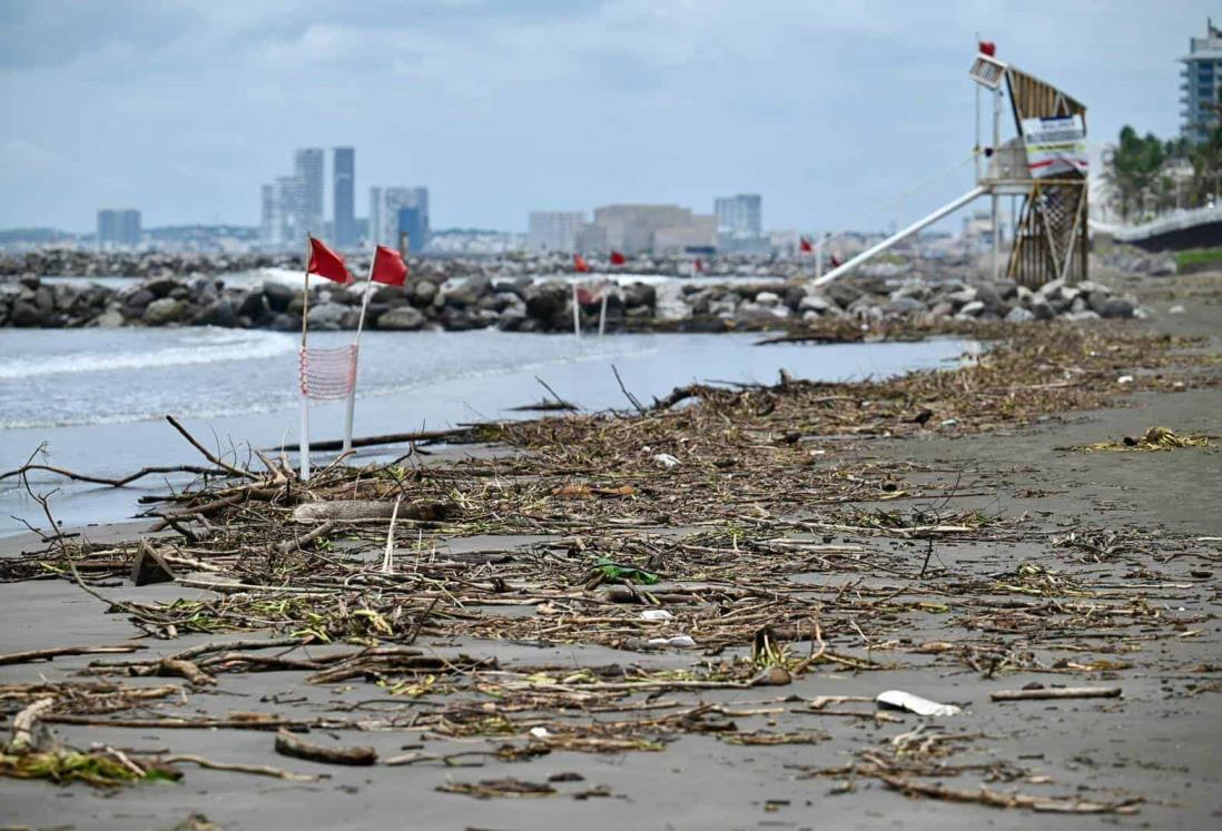 Más de 120 toneladas de palizada se han recogido en playas de Boca del Río