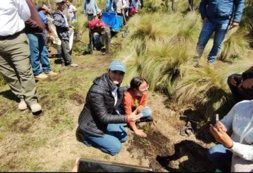 Así preparan acciones de reforestación en la Perla, hasta 5 mil arbolitos