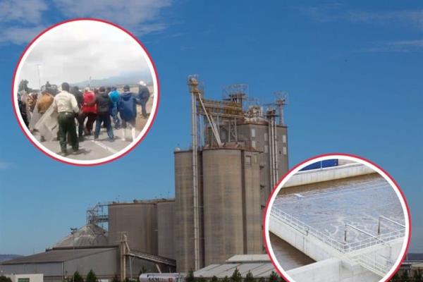 Clausuran temporalmente una planta de Granjas Carroll en Totalco(+ VIDEO)