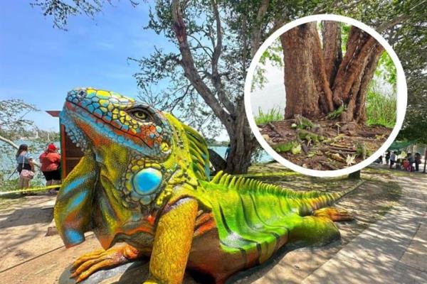 Santuario de la Iguana en Tuxpan: ¿Lo conoces? así puedes visitarlo 
