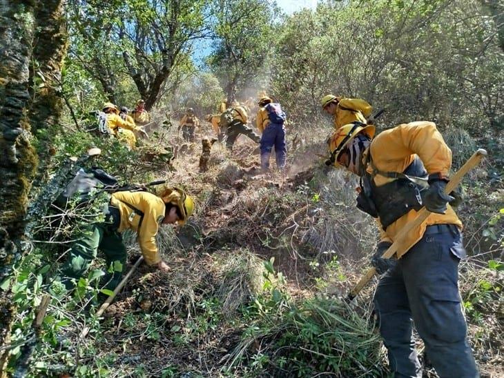 Hay denuncias y un detenido por causar incendios forestales en Veracruz: Sedema