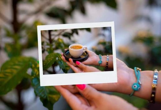 Este viernes inicia el festival Xalapa, Café y Aroma 2024 ¡entérate! 
