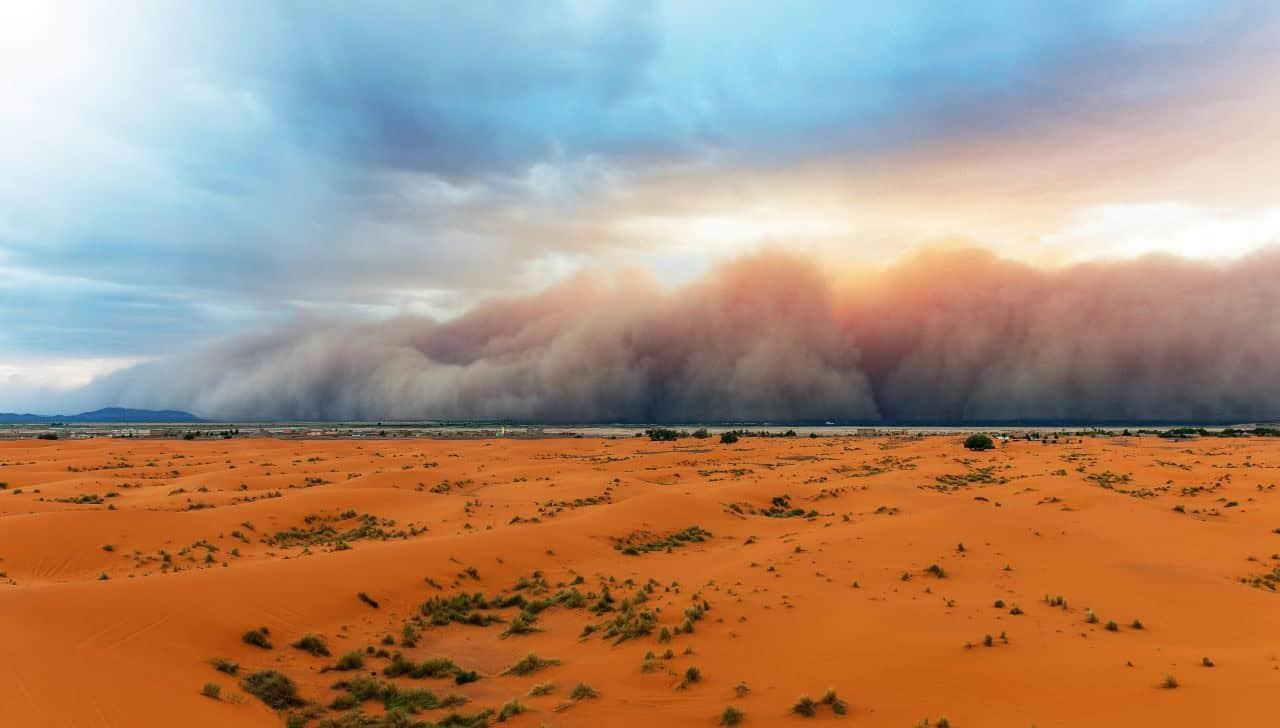 ¿Polvo del Sahara puede disolver ciclones que amenazan al Golfo de México? esto es lo que sabemos