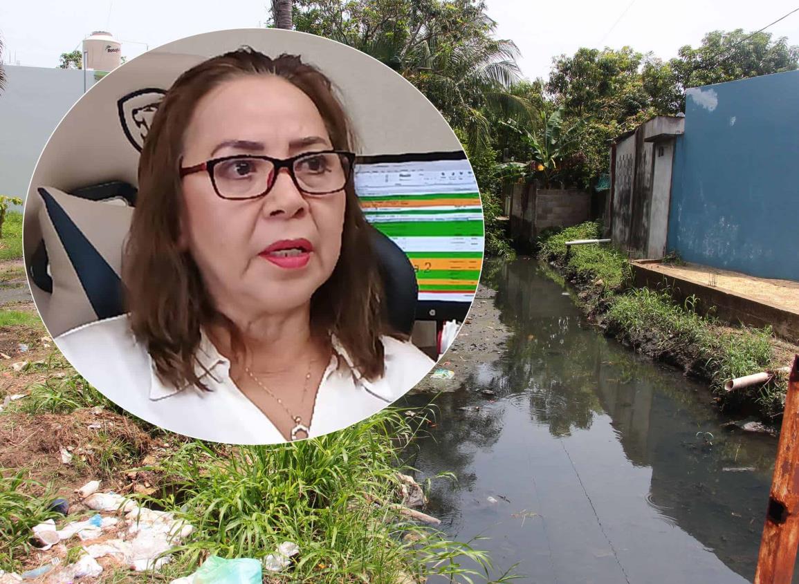 Invasión en zona de canales complica su limpieza en Coatzacoalcos | VIDEO