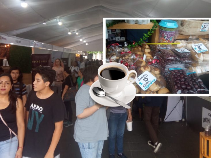 Festival Xalapa, Café y Aroma 2024: Ni lluvia detuvo a amantes xalapeños del café para disfrutarlo