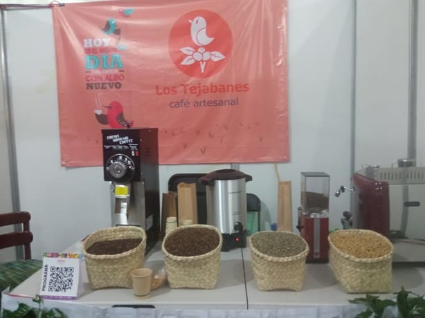 Festival Xalapa, Café y Aroma 2024: Ni lluvia detuvo a amantes xalapeños del café para disfrutarlo