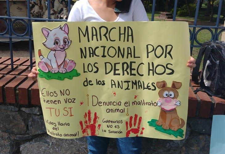 Animalistas de Orizaba y la región organizan Marcha Nacional por los Derechos de los Animales