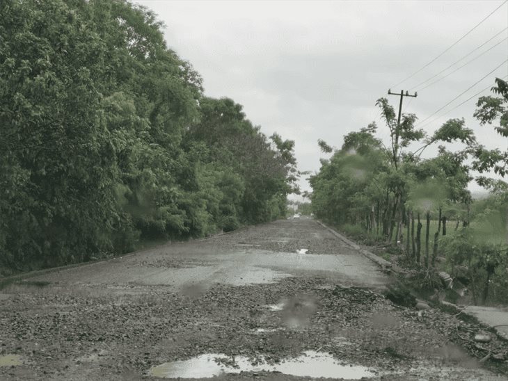 Carretera Misantla-Martínez en criticas condiciones por lluvias; urge rehabilitación 