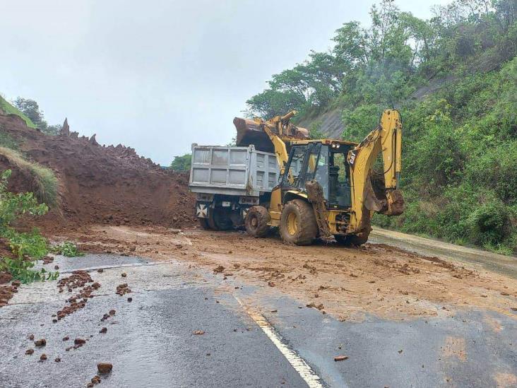 Tormenta tropical Chris dejó cortes a circulación en 17 municipios de Veracruz