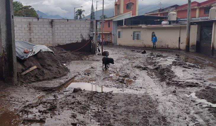 Hasta 600 viviendas afectadas por barrancada en Huiloapan: alcaldesa