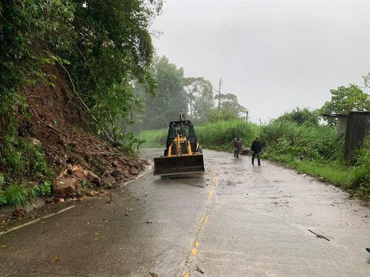 Reportan serias afectaciones por inundaciones en la carretera Misantla-Xalapa 