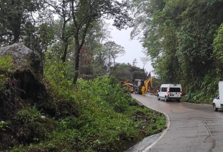 Reportan serias afectaciones por inundaciones en la carretera Misantla-Xalapa 