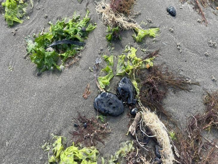 Denunciarán contaminación por petróleo en playas del sur de Veracruz
