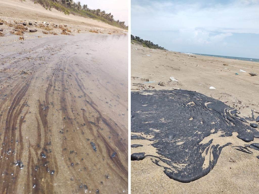 Restos de petróleo se extienden desde el río Tonalá hasta Coatzacoalcos; registran 3 tortugas muertas | VIDEO